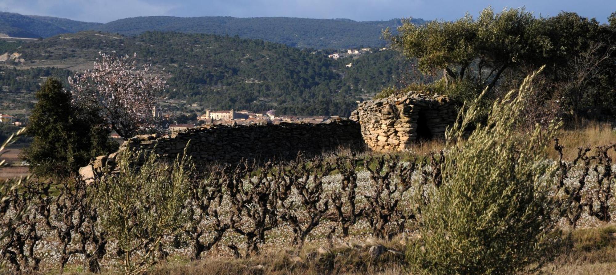 Maison Vigneronne De Bonne Maman - Climatisee Cesseras Zewnętrze zdjęcie