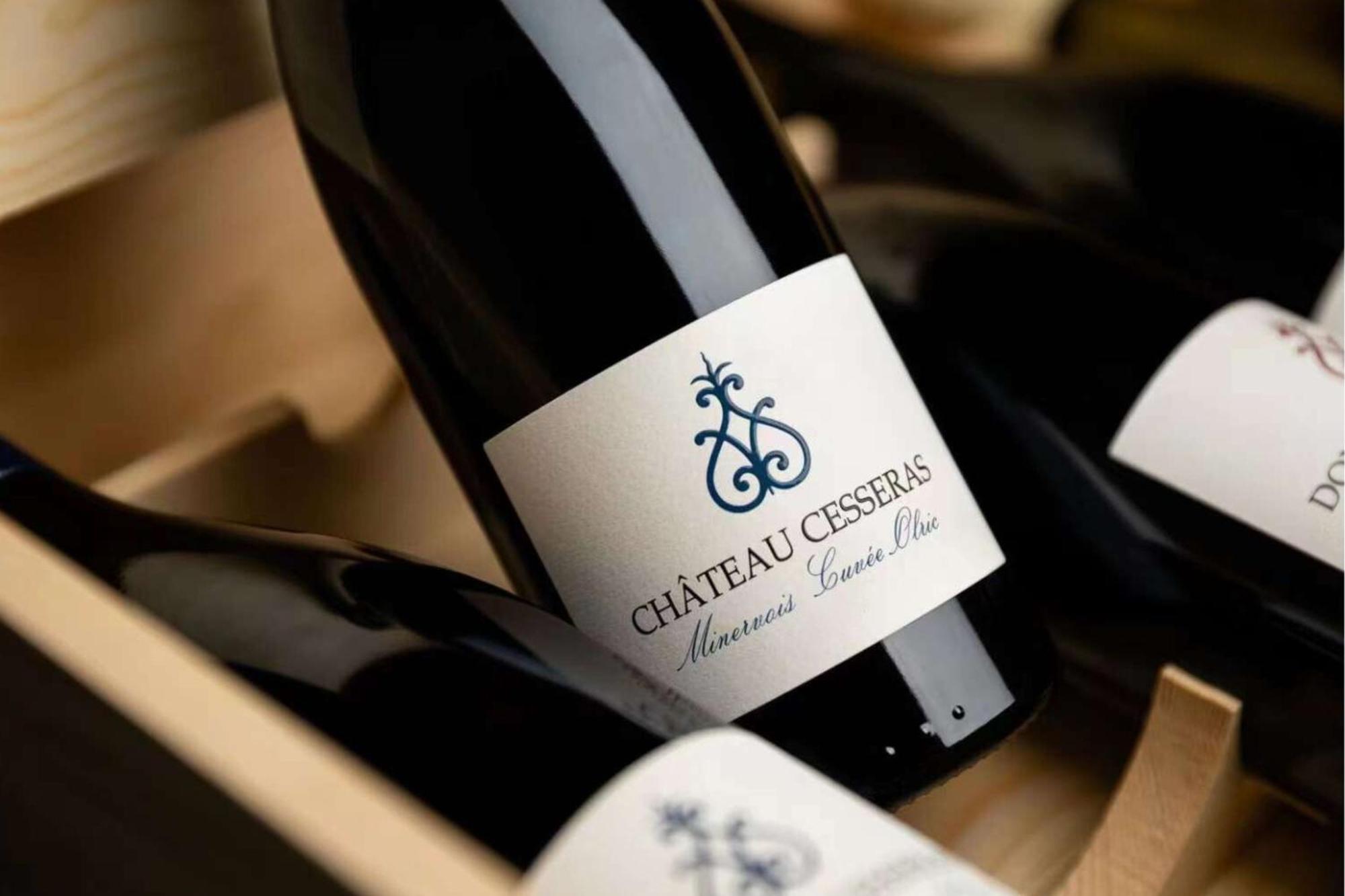 Maison Vigneronne De Bonne Maman - Climatisee Cesseras Zewnętrze zdjęcie